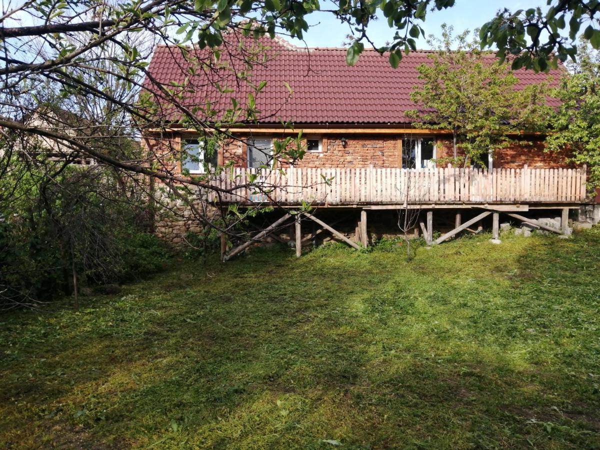 Borlova /Muntele Mic Hotel Exterior photo