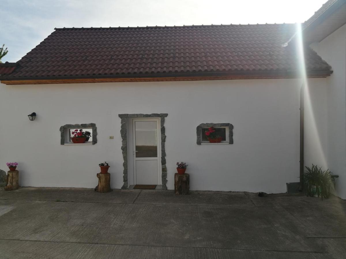 Borlova /Muntele Mic Hotel Exterior photo
