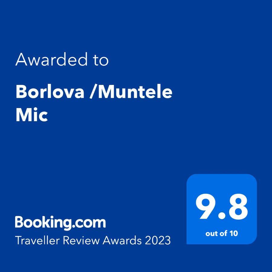 Borlova /Muntele Mic Hotel Exterior photo